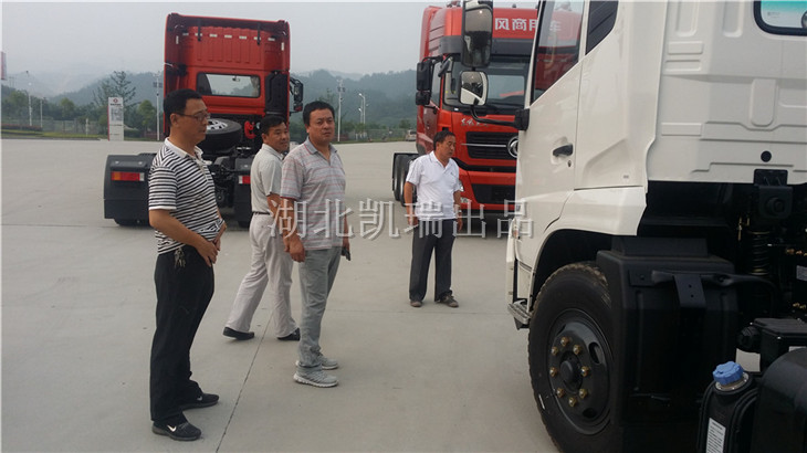 ���|�L(f��ng)����܇(ch��)�������Č�(sh��)�ز鿴܇(ch��)�v����